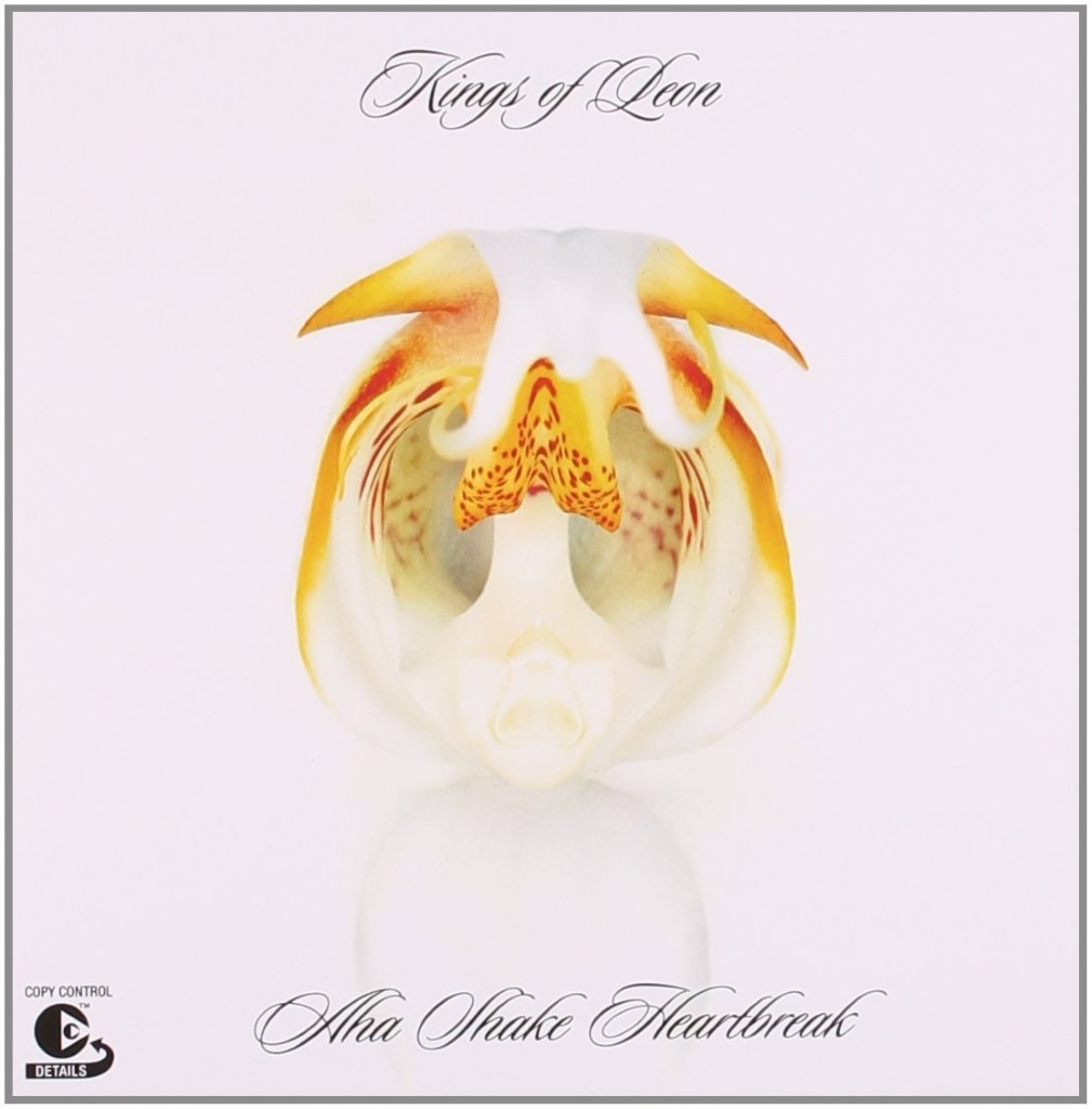 Kings Of Leon - Aha Shake Heartbreak (CD)