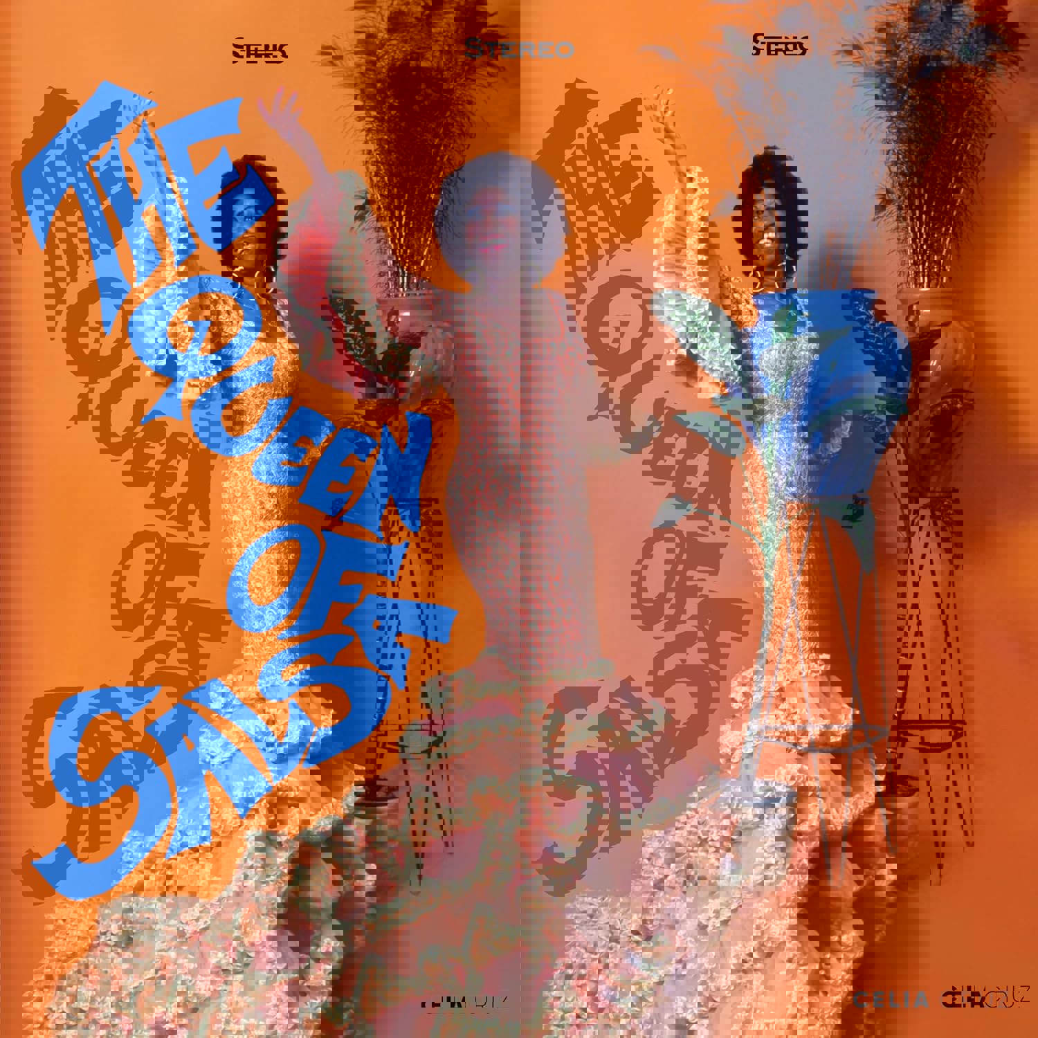 Celia Cruz - The Queen Of Salsa (LP)